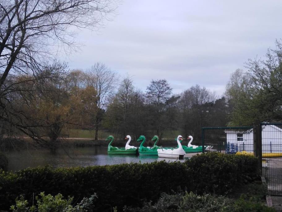 The Cabin Welwyn Garden City Dış mekan fotoğraf